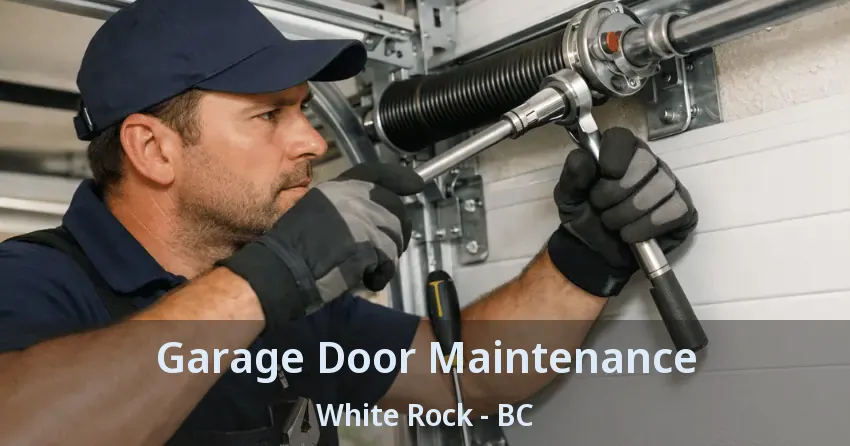 Garage Door Maintenance White Rock - BC