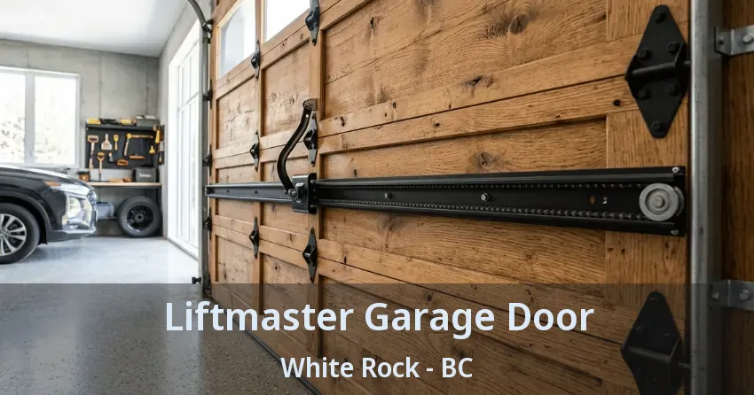 Liftmaster Garage Door White Rock - BC